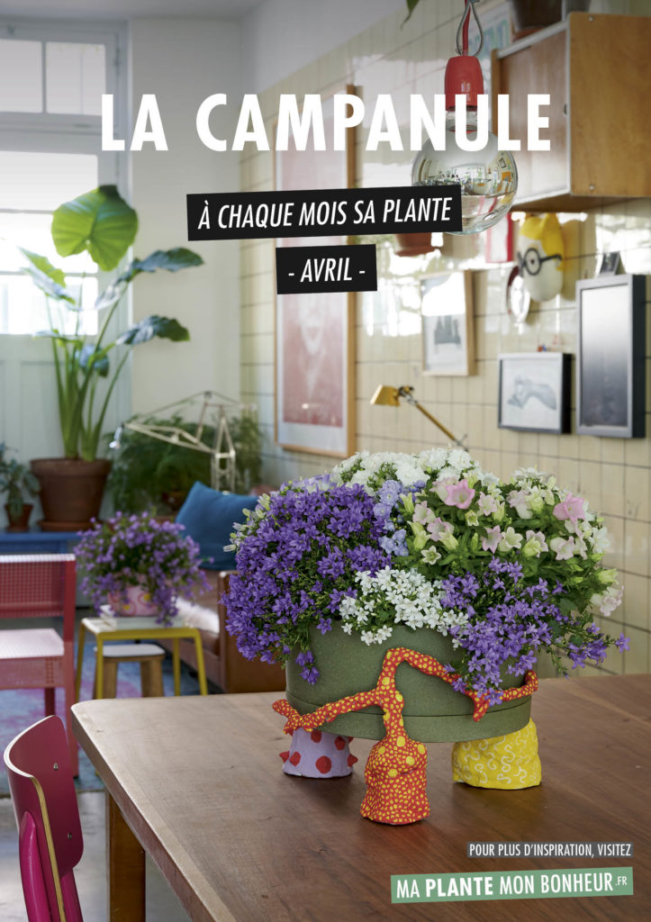 la-campanule