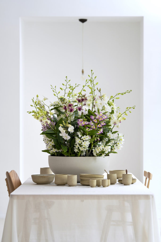 le-dendrobium-1