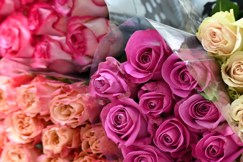 Roses